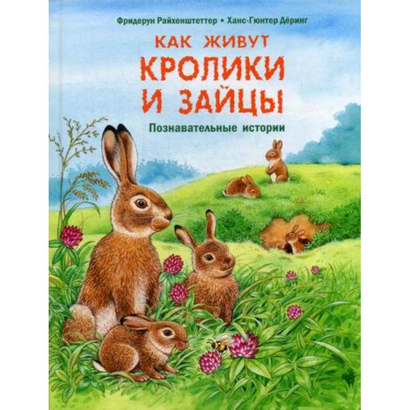 Как живут кролики и зайцы Как живут кролики и зайцы