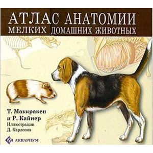 Атлас анатомии мелких домашних животных