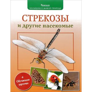 Стрекозы и другие насекомые