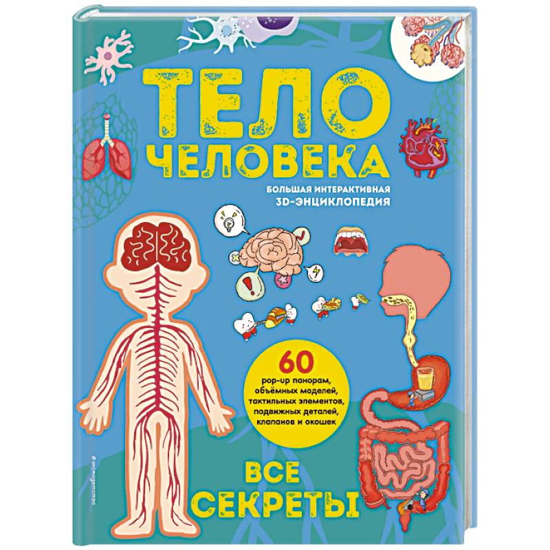 Тело человека. Все секреты. Большая интерактивная 3D-энциклопедия