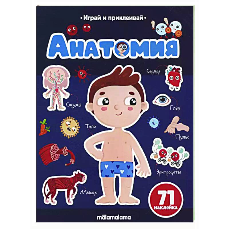 Анатомия. Играй и приклеивай