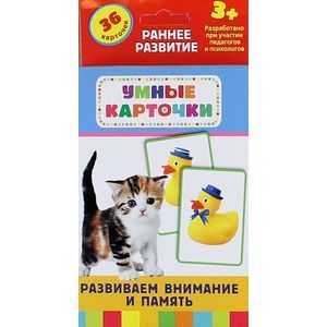 Развиваем внимание и память