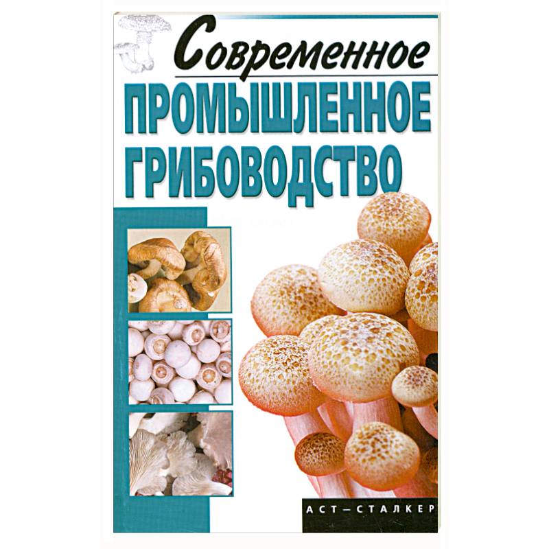 Современное промышленное грибоводство