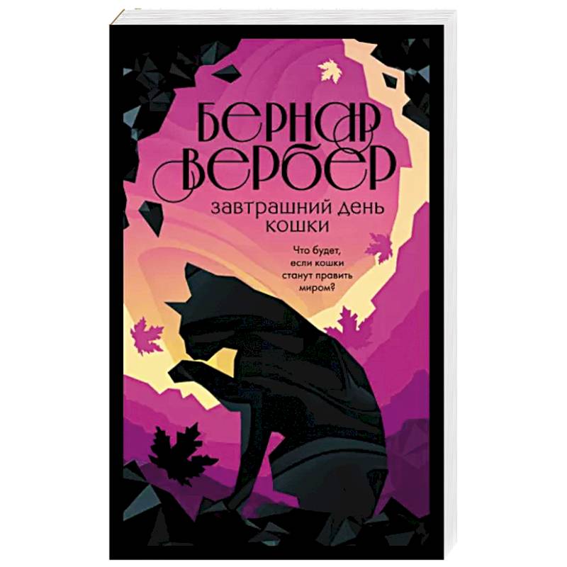 Завтрашний день кошки