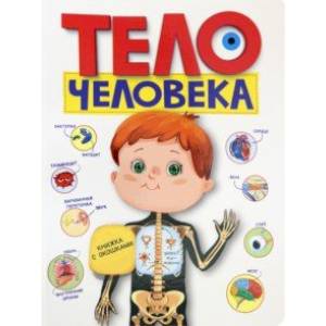 Тело человека Тело человека