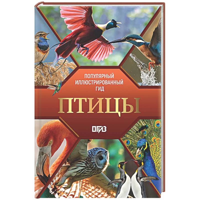 Птицы. Иллюстрированный гид