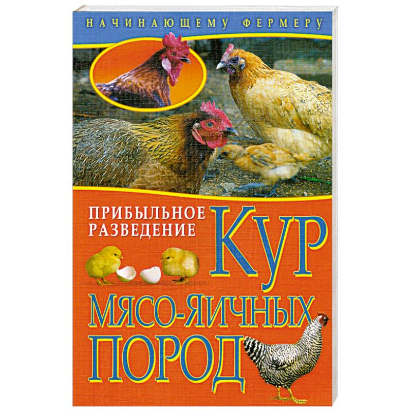 Начинающему Фермеру. Прибыльное разведение кур мясо-яичных пород