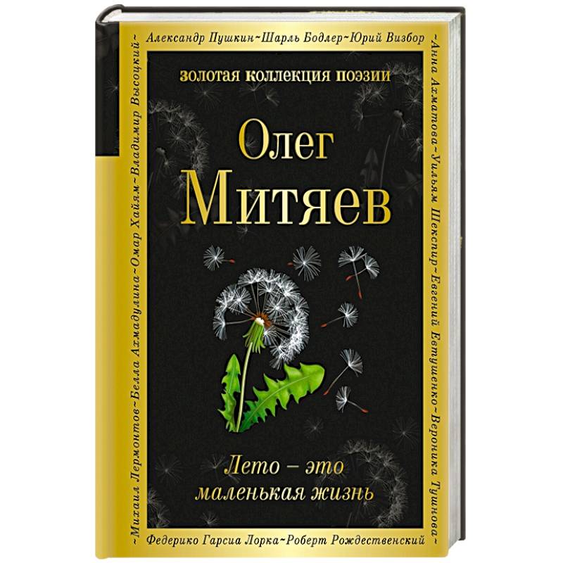 Лето - это маленькая жизнь Лето - это маленькая жизнь