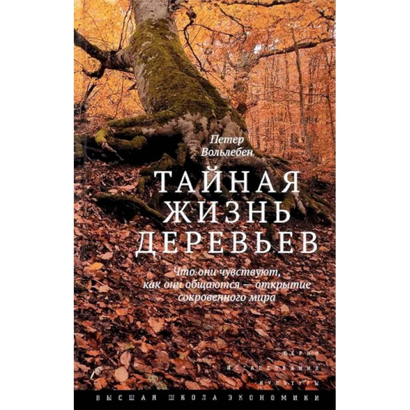 Тайная жизнь деревьев. Что они чувствуют, как они общаются - открытие сокровенного мира