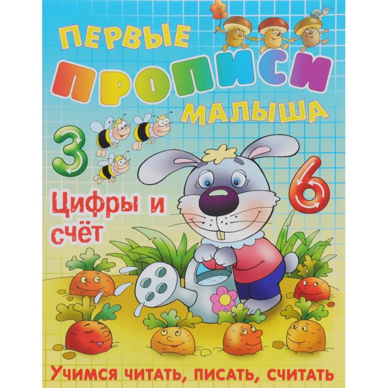 Цифры и счет Цифры и счет