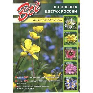 Все о полевых цветах России