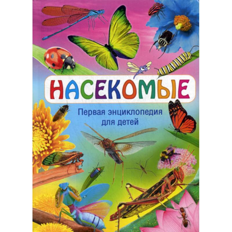 Насекомые Насекомые