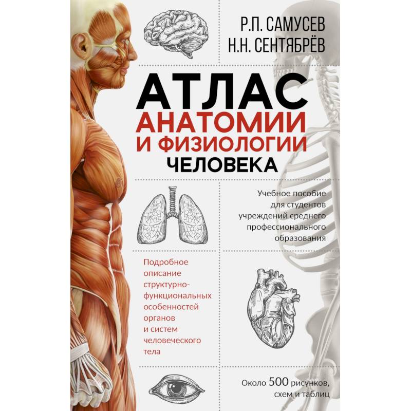 Самусев атлас анатомии. Самусев р.п., Липченко в.я. атлас анатомии человека. Атлас анатомии и физиологии человека Самусев. Книга атлас человека Самусев. Самусев Сентябрев атлас анатомии.