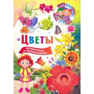 Цветы Цветы