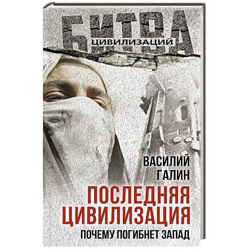 Последняя цивилизация. Почему погибнет Запад