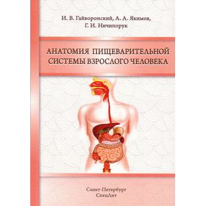 Анатомия пищеварительной системы взрослого человека