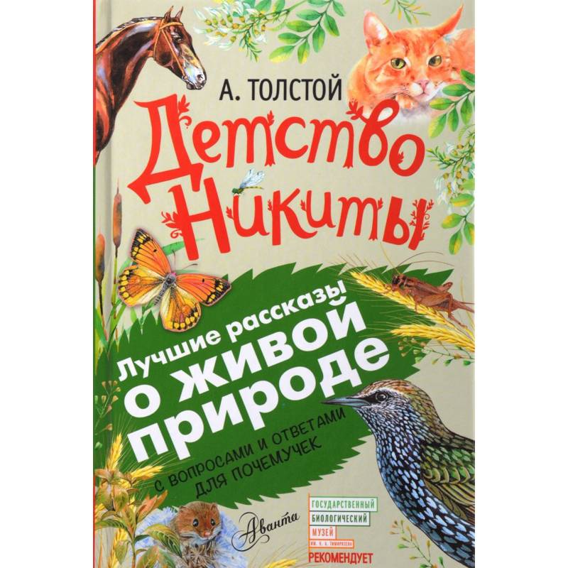 Детство Никиты. С вопросами и ответами для почемучек