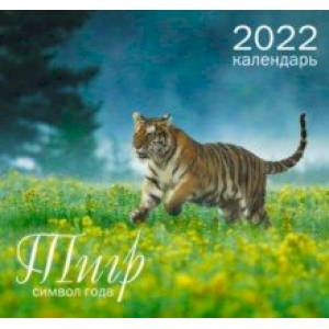 Календарь настенный на 2022 год Символ года 5, Тигр