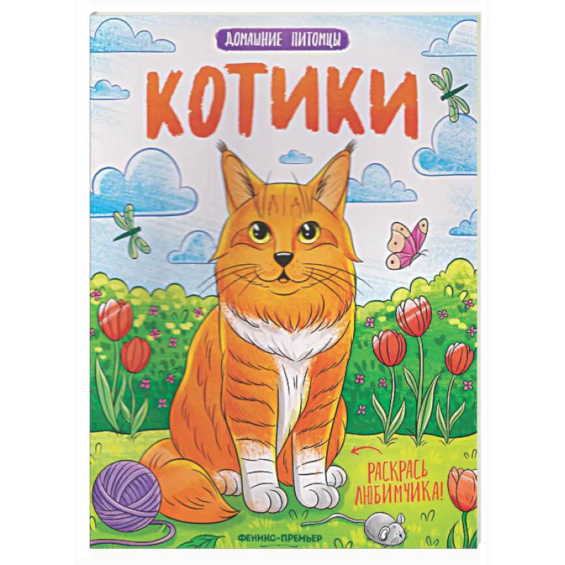 Котики: книжка-раскраска