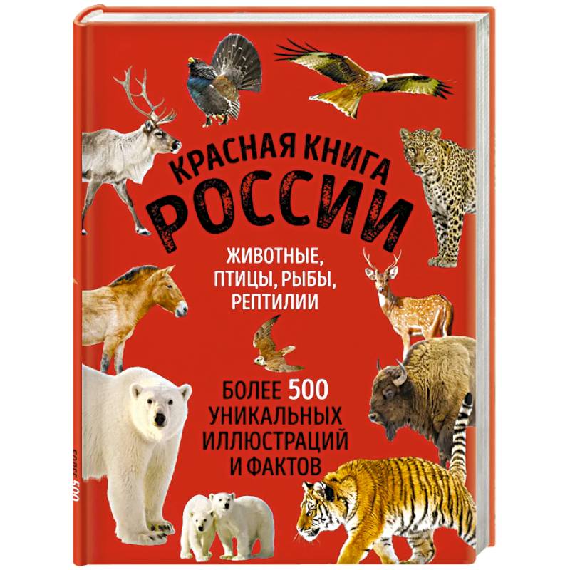 Красная книга России. Большой формат. Более 500 уникальных иллюстраций и фактов