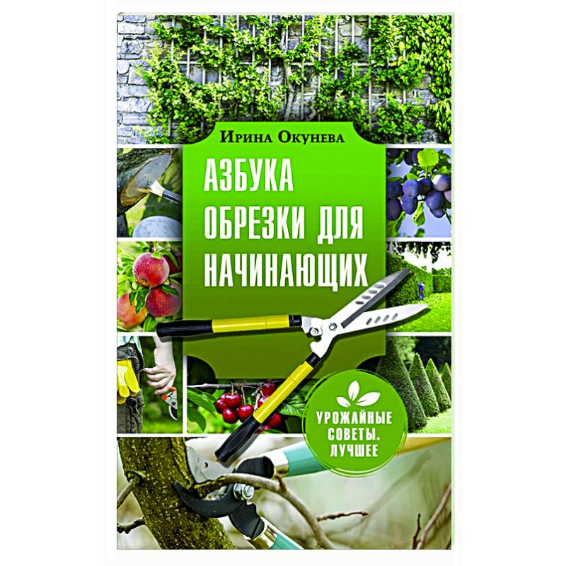 Азбука обрезки для начинающих