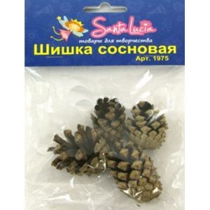 Шишка еловая, 4 штуки (1974)