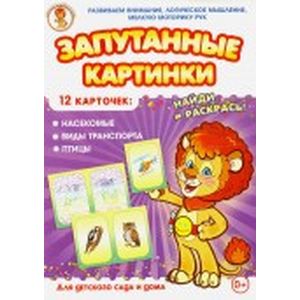 Насекомые-Виды транспорта-Птицы. Запутанные картинки