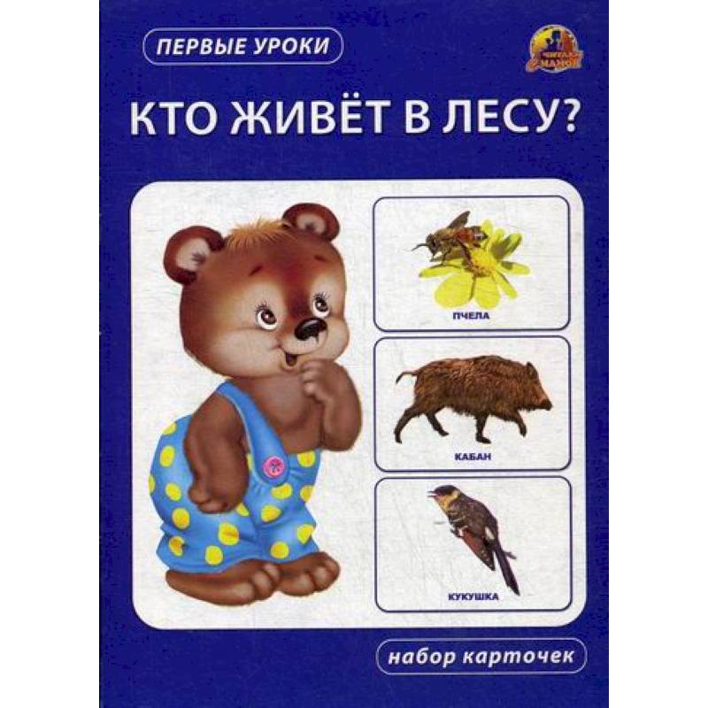 Кто живет в лесу? Кто живет в лесу?
