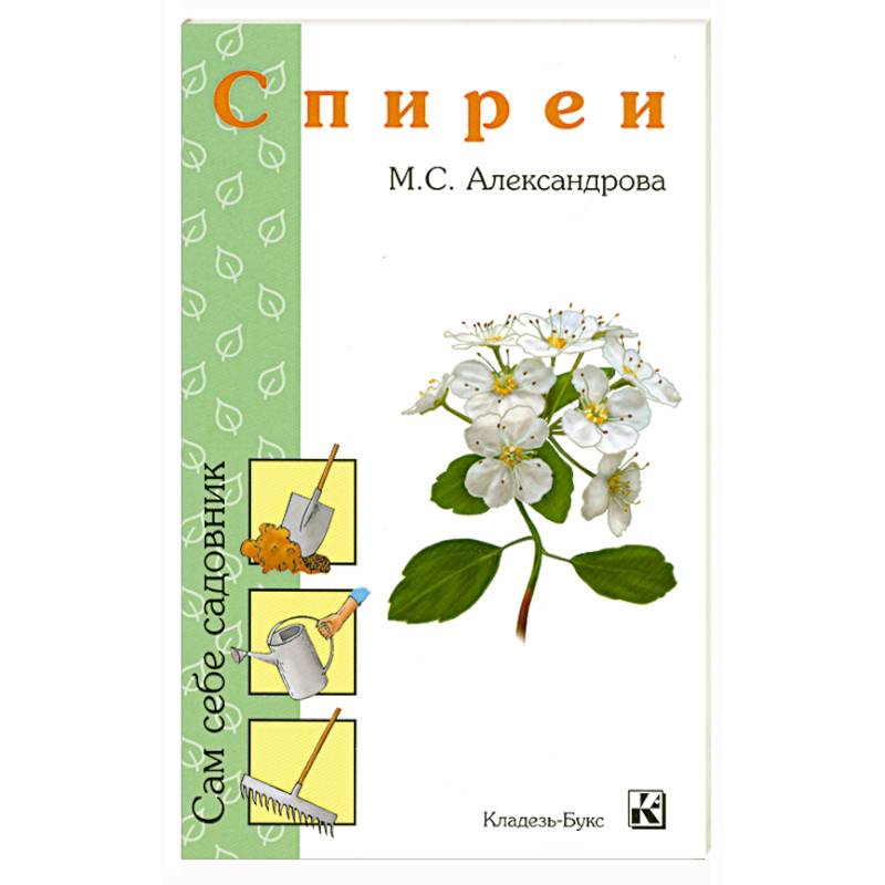 Спиреи