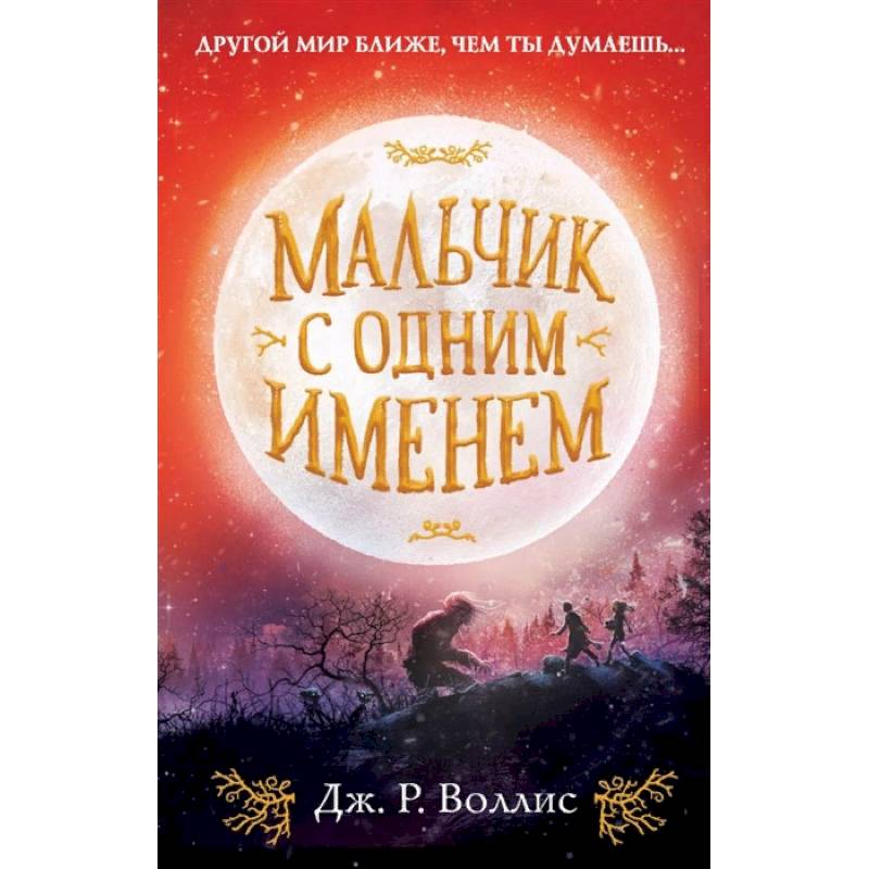 Мальчик с одним именем Мальчик с одним именем