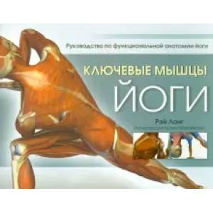 Ключевые мышцы йоги Ключевые мышцы йоги