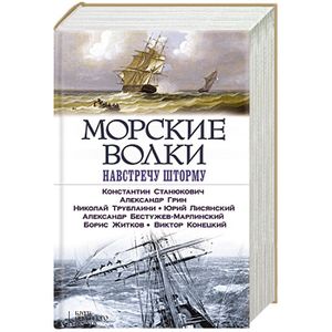 Морские волки. Навстречу шторму