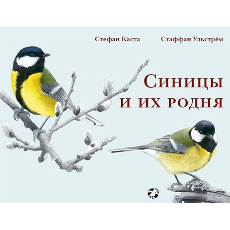 Синицы и их родня