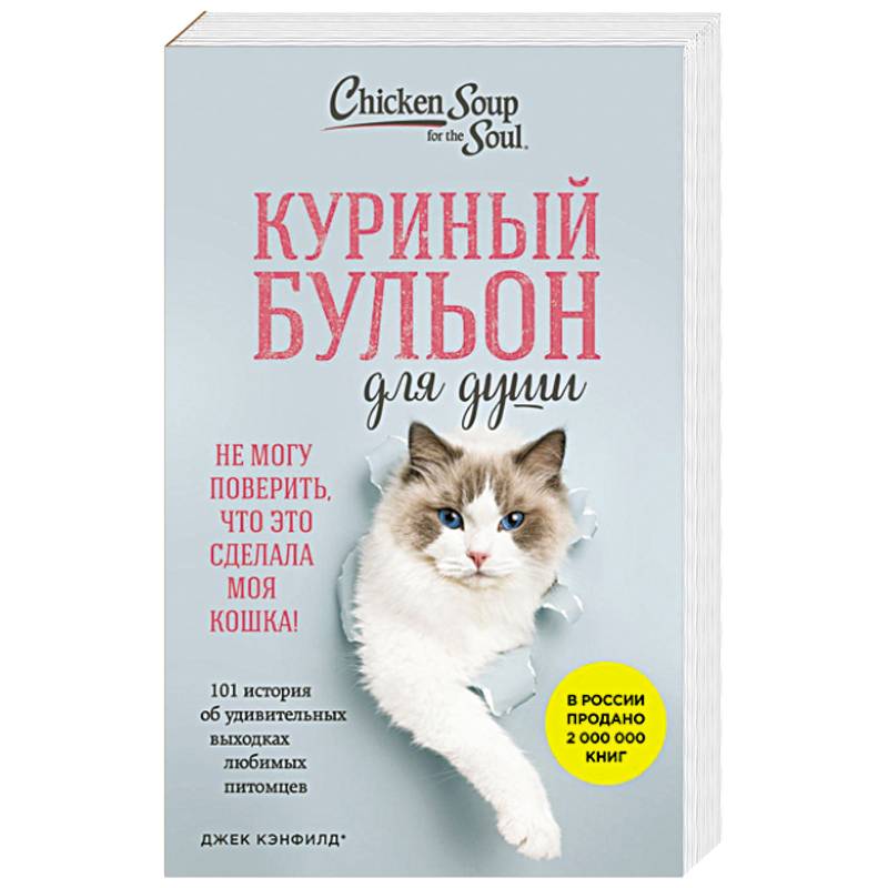 Куриный бульон для души. Не могу поверить, что это сделала моя кошка! 101 история об удивительных выходках любимых питомцев