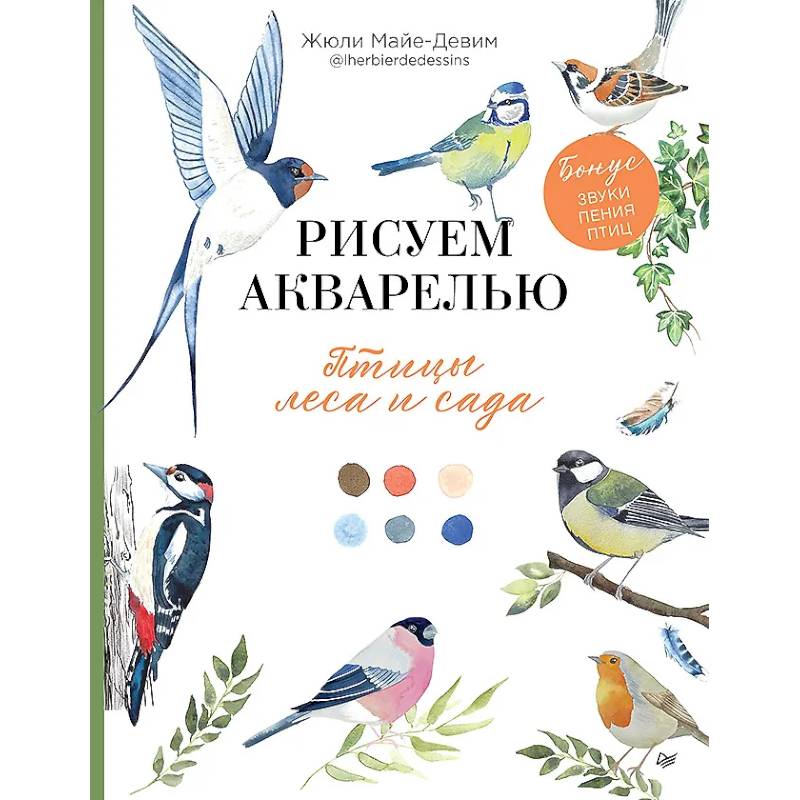 Рисуем акварелью: птицы леса и сада