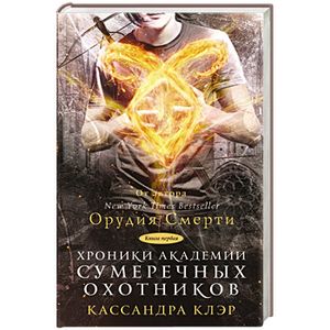 Хроники Академии Сумеречных охотников