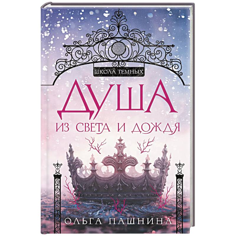 Душа из света и дождя (Школа темных. Новые крылья #2)