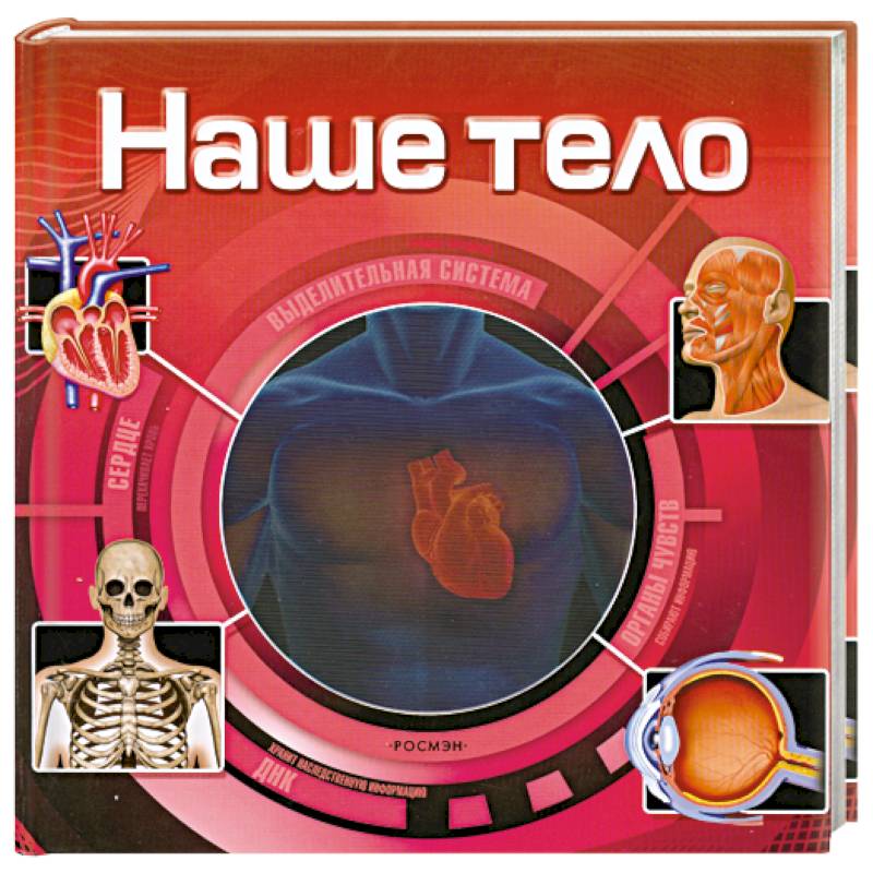 Наше тело