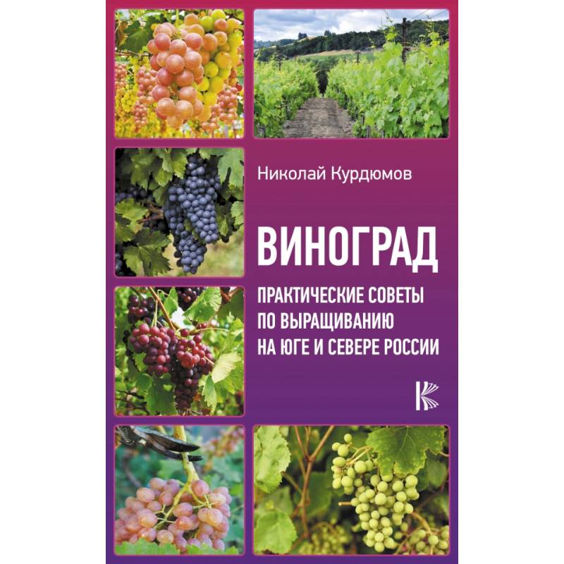 Виноград. Практические советы по выращиванию на юге и севере России