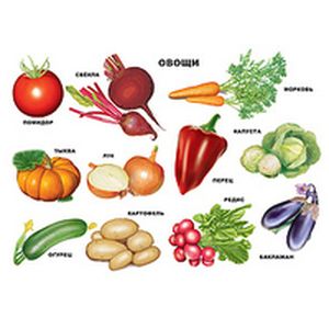 Овощи. Плакат.