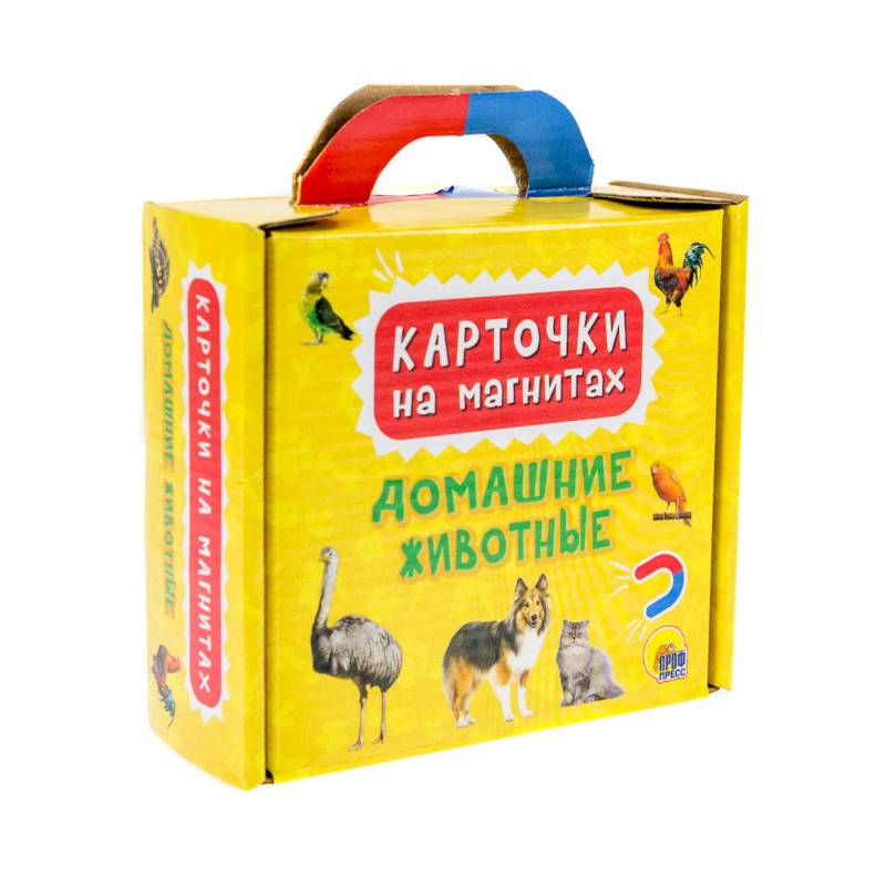 Домашние животные Домашние животные