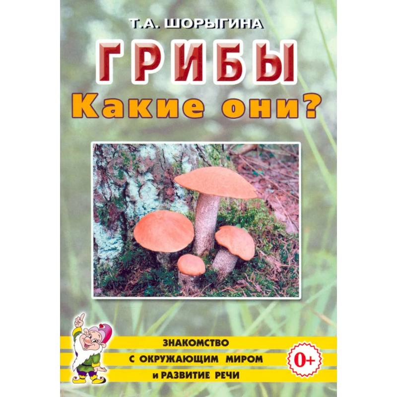 Грибы. Какие они?