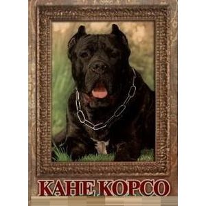 Кане корсо