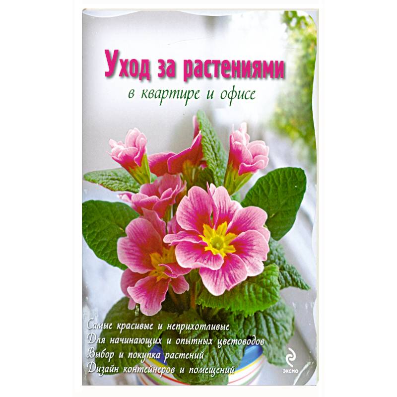 Уход за растениями в квартире и офисе