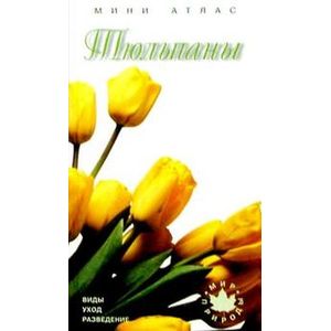 Тюльпаны