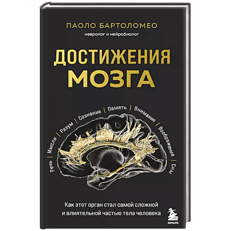 Достижения мозга. Как этот орган стал самой сложной и влиятельной частью тела человека Достижения мозга. Как этот орган стал самой сложной и влиятельной частью тела человека