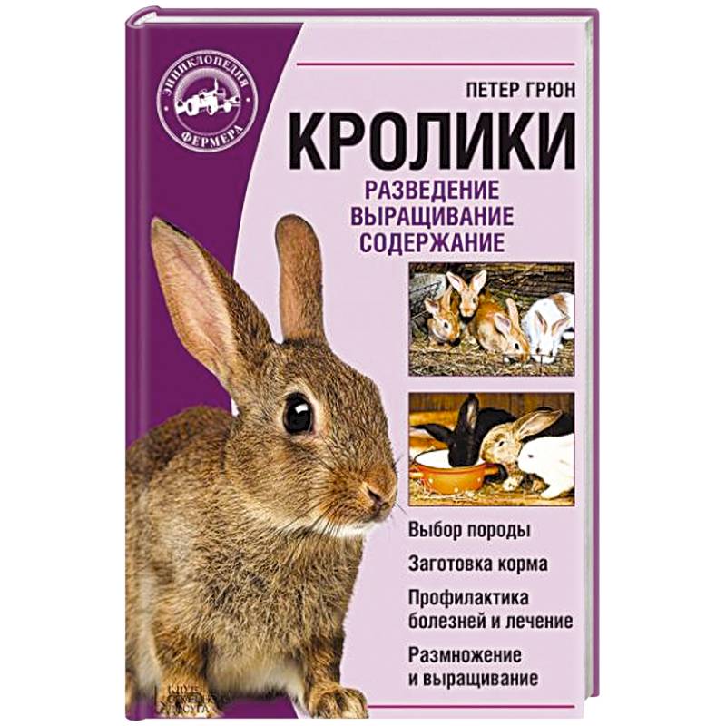 Разведение кроликов как бизнес - ремонты-бмв.рф
