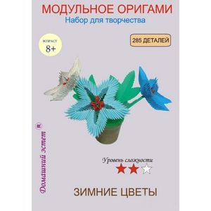 Набор для творчества 'Зимние цветы'