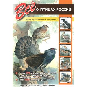 Все о птицах России