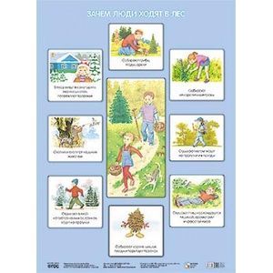 Зачем люди ходят в лес. Плакат